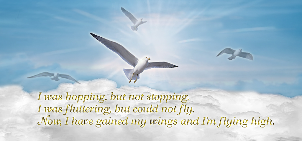 Birds Blue Clouds (I Was Hopping) PROOF